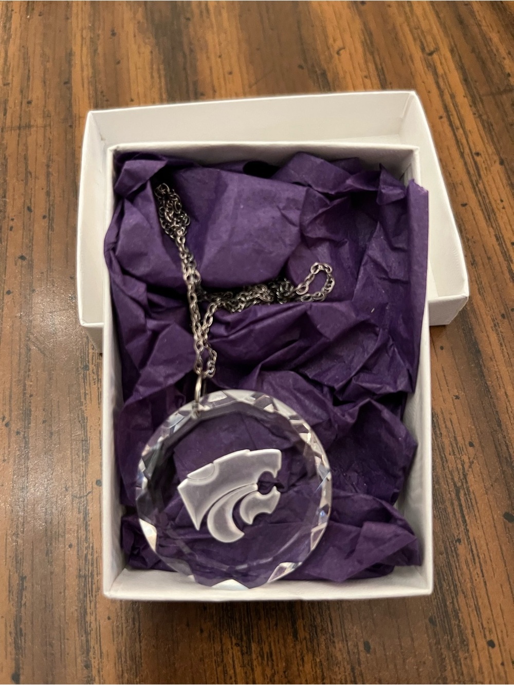 Crystal Pendant Necklace with Wildcat Logo - Clear & Silver